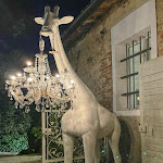 Photo n°5 de l'avis de Claudio.o fait le 06/08/2021 à 08:48 sur le  Casina Pontormo à Bertinoro