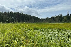 Beaver Lake image