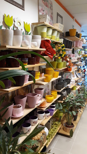 Halásztelek, Óvoda u. 1/c, 2314 Magyarország