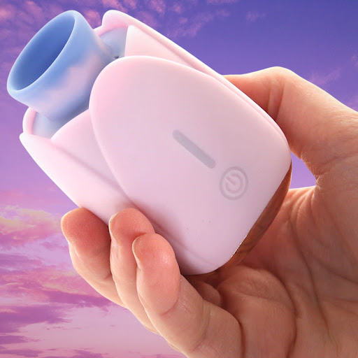 Adult Entertainment Store «Secrets for Adults Only», reviews and photos, 5021 W Indian School Rd, Phoenix, AZ 85031, USA