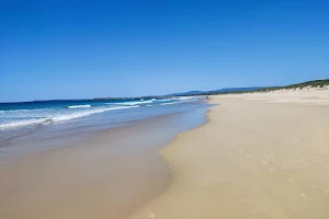 Windang Dog Beach image