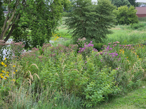 Gym «Wheeling Park District», reviews and photos, 333 W Dundee Rd, Wheeling, IL 60090, USA