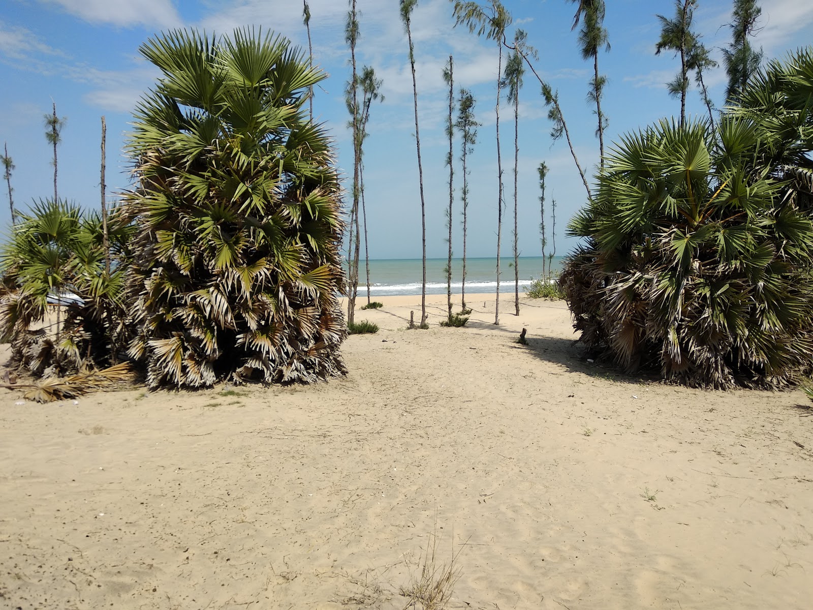 Foto van Golden Sand Beach met gemiddeld niveau van netheid