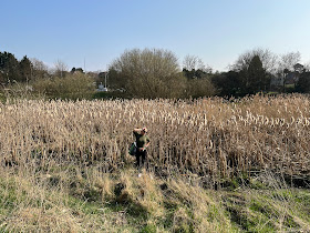 Valley Road Park