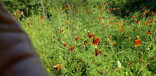 Country Club «West Fork Golf & Country Club», reviews and photos, 1 Golf Rdg, Conroe, TX 77304, USA