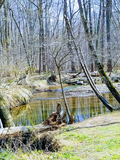 Park «Pilgrim Hill Local Park», reviews and photos, 1615 E Randolph Rd, Silver Spring, MD 20904, USA
