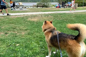 Rocky Point Off Leash Dog Park image