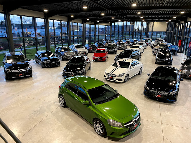 Opinii despre Flanders Cars în Roeselare - Autodealer