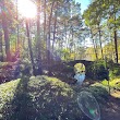 Garvan Woodland Gardens Childrens Garden Treehouse