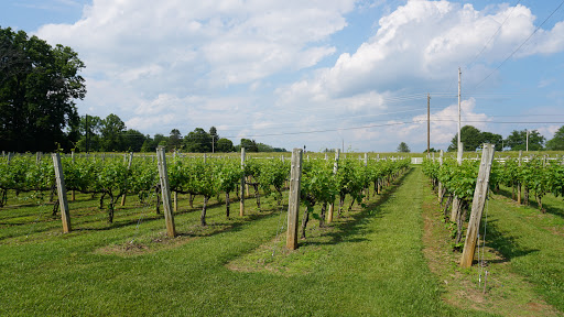Winery «Gray Ghost Vineyards», reviews and photos, 14706 Lee Hwy, Amissville, VA 20106, USA