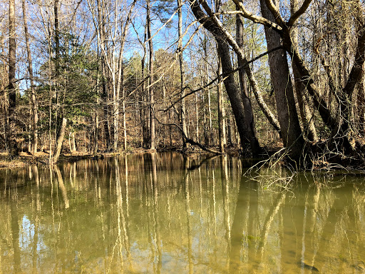 Nature Preserve «Swift Creek Bluffs Nature Preserve», reviews and photos, 7800 Holly Springs Rd, Raleigh, NC 27606, USA