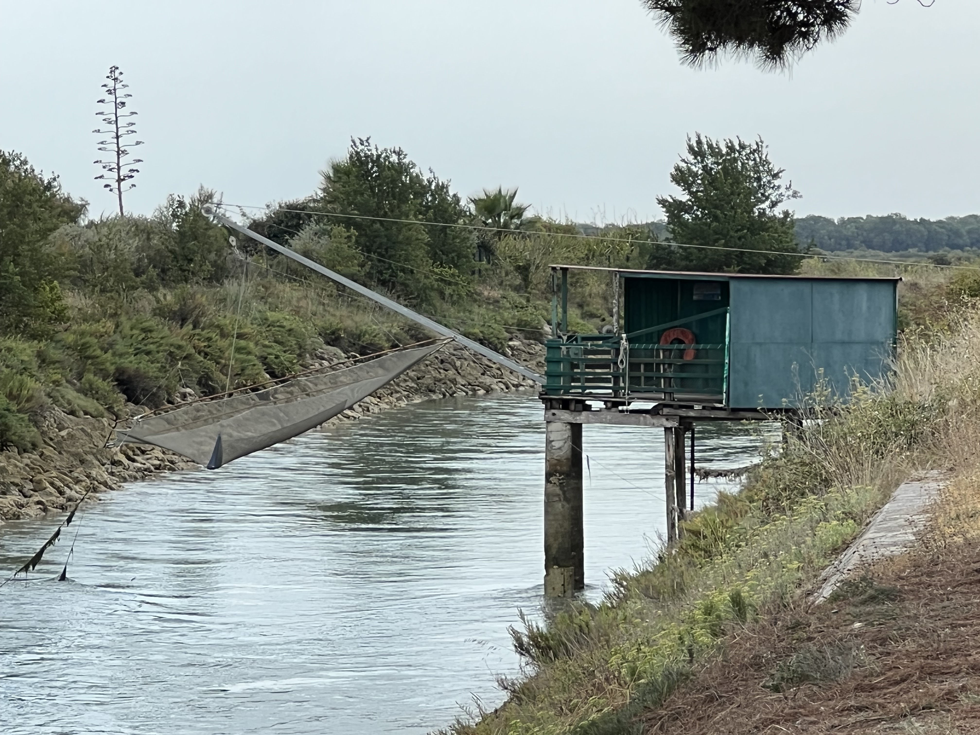 Photo n° 7 de l'avis de Yann.o fait le 05/08/2022 à 06:44