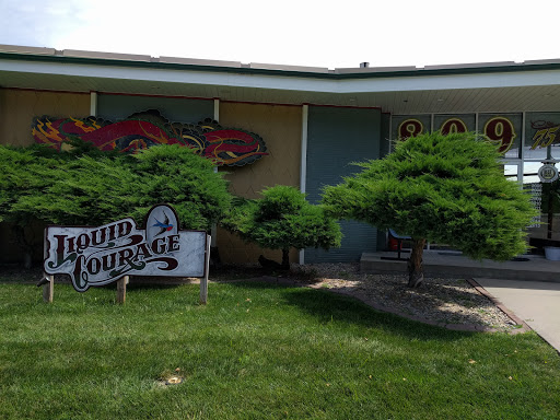 Explore tattoo ideas for women sleeve, creative tattoo ideas in Omaha, available at Liquid Courage Tattoos