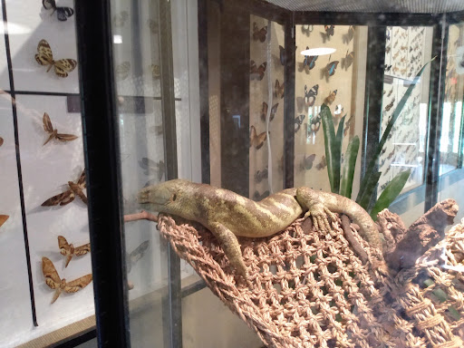 Zoo «Central Florida Zoo & Botanical Gardens», reviews and photos, 3755 NW Hwy 17-92, Sanford, FL 32771, USA