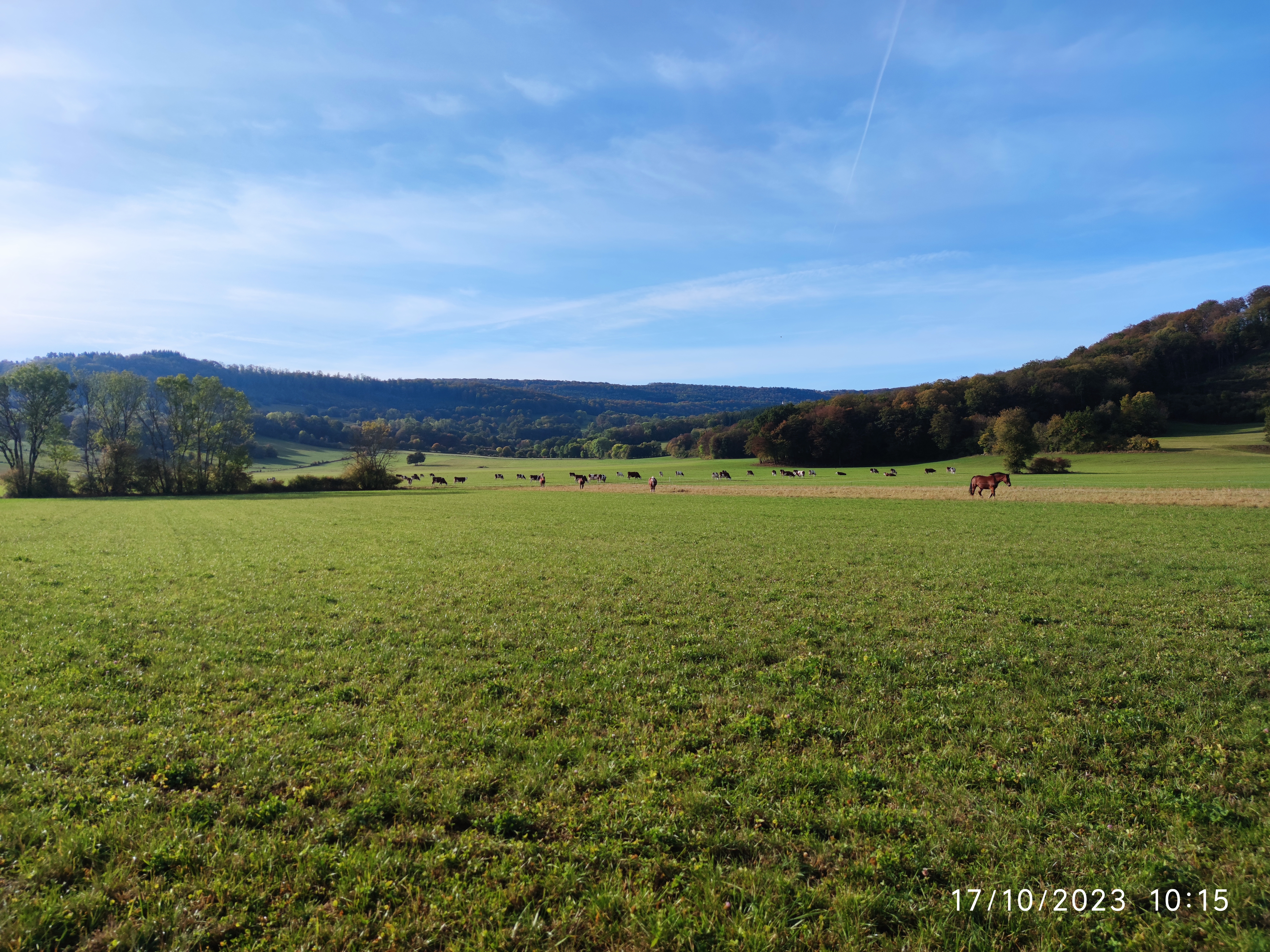Photo n° 39 de l'avis de Patrick.i fait le 12/12/2023 à 10:07