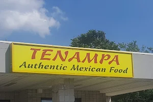 Tenampa image