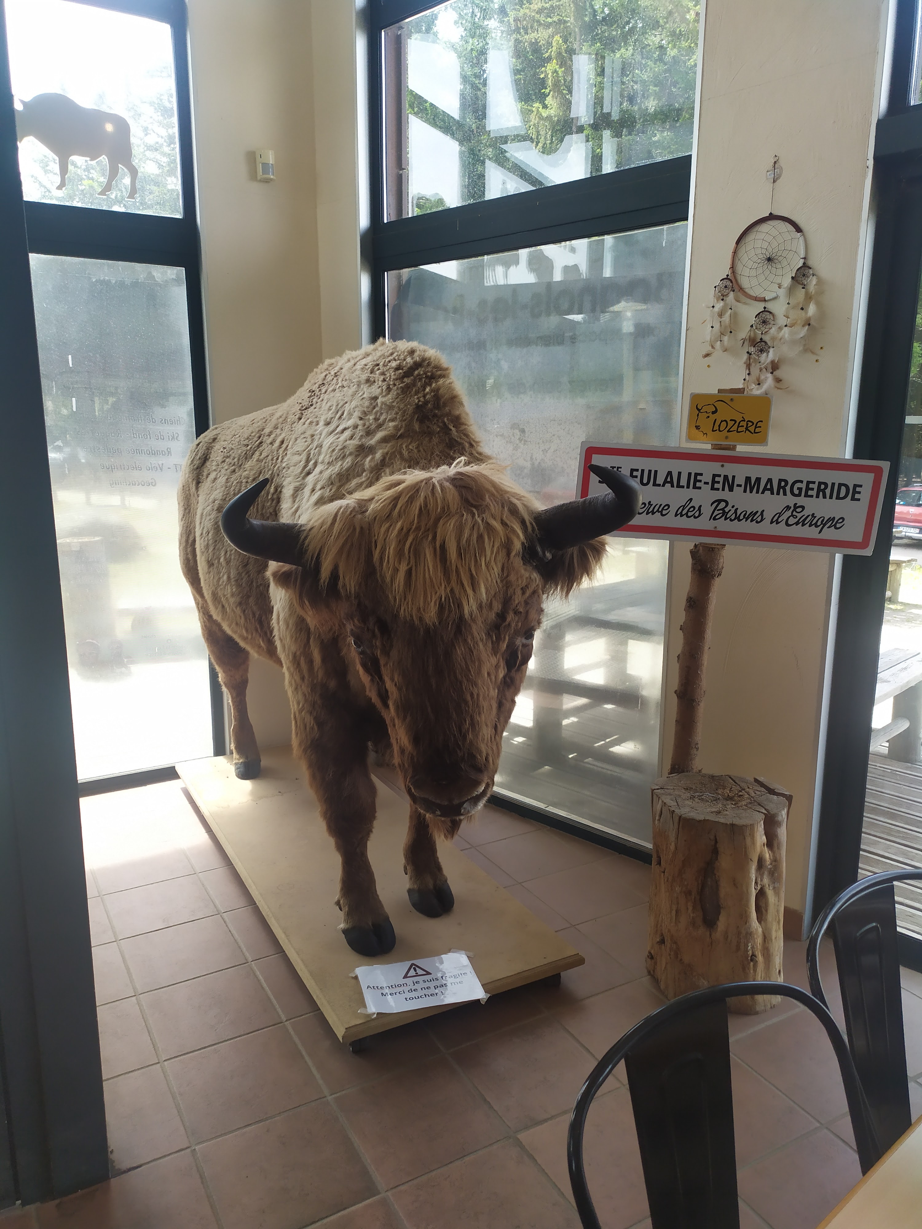 Photo n° 9 de l'avis de Angel.� fait le 19/08/2023 à 17:20