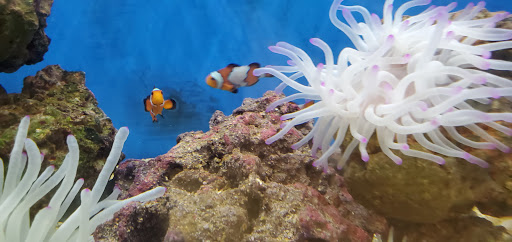 Pet Supply Store «Petco Animal Supplies», reviews and photos, 200 Center Blvd S, Christiana, DE 19702, USA