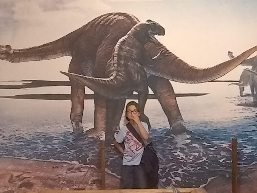 Gift Shop «Dinosaur Valley State Park Store», reviews and photos, 1629 Park Rd 59, Glen Rose, TX 76043, USA