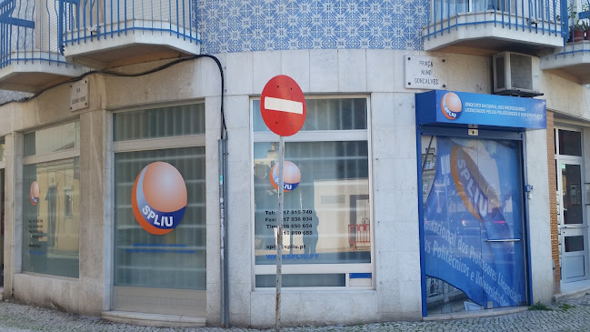 SPLIU - Sindicato Nacional dos Professores Licenciados pelos Politécnicos e Universidades - Serviço de transporte