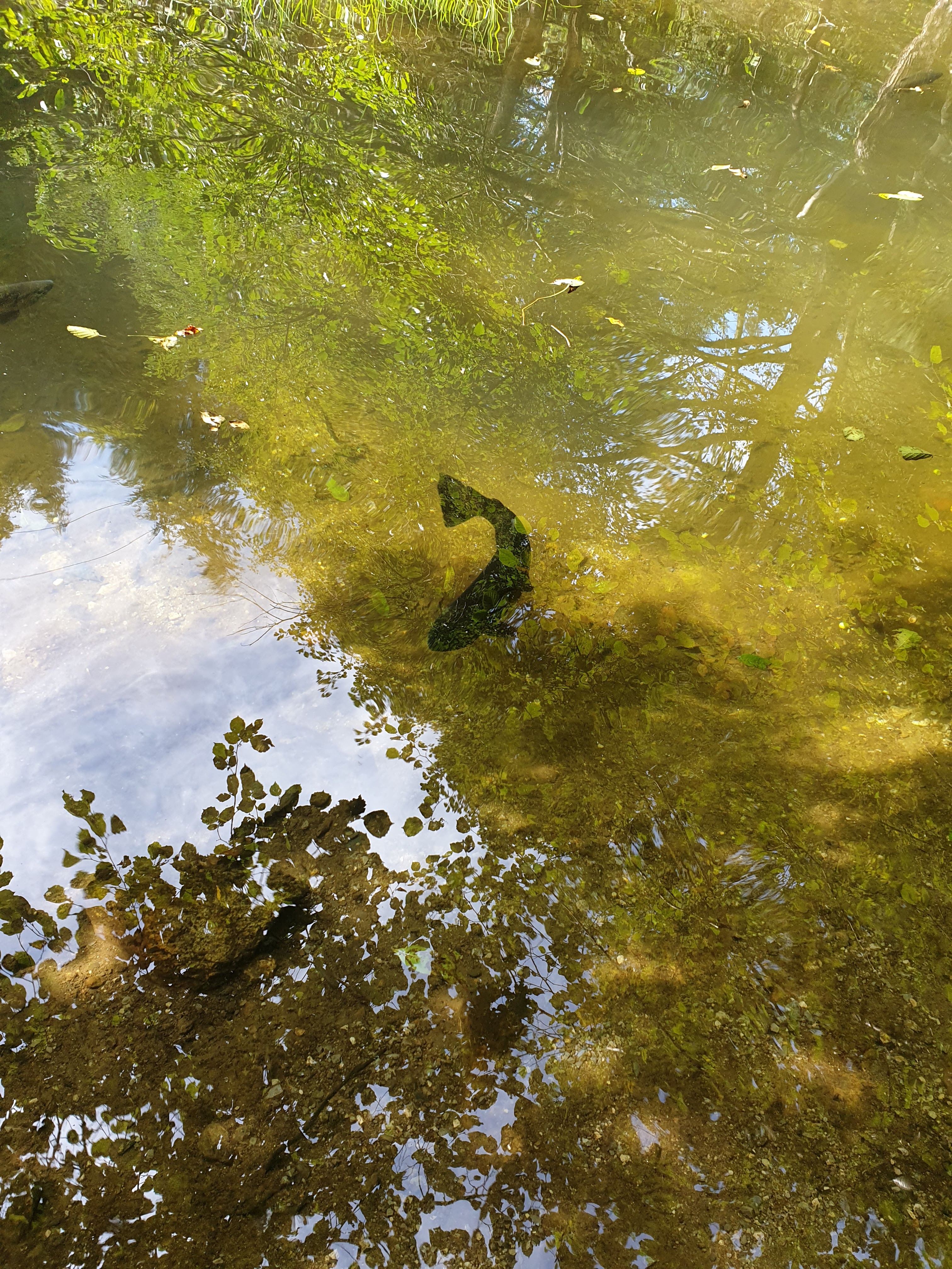 Photo n° 15 de l'avis de Sarah.h fait le 16/09/2020 à 12:45