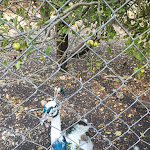 Photo n°2 de l'avis de Anna.e fait le 10/09/2023 à 08:23 sur le  Filici di Paolino Scibetta à Cammarata