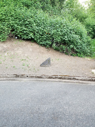 Park «Mary S. Young Park», reviews and photos, 19900 Willamette Dr, West Linn, OR 97068, USA