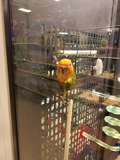 Pet Supply Store «PetSmart», reviews and photos, 401 S Mt Juliet Rd #645, Mt Juliet, TN 37122, USA