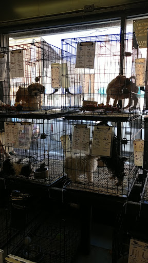 Pet Supply Store «Whiteway Pet Shop», reviews and photos, 950 Elizabeth Ave, Elizabeth, NJ 07201, USA