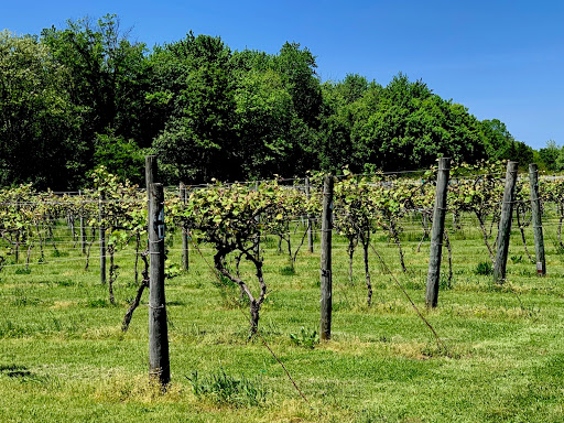 Winery «Cream Ridge Winery», reviews and photos, 145 County Rd 539, Cream Ridge, NJ 08514, USA