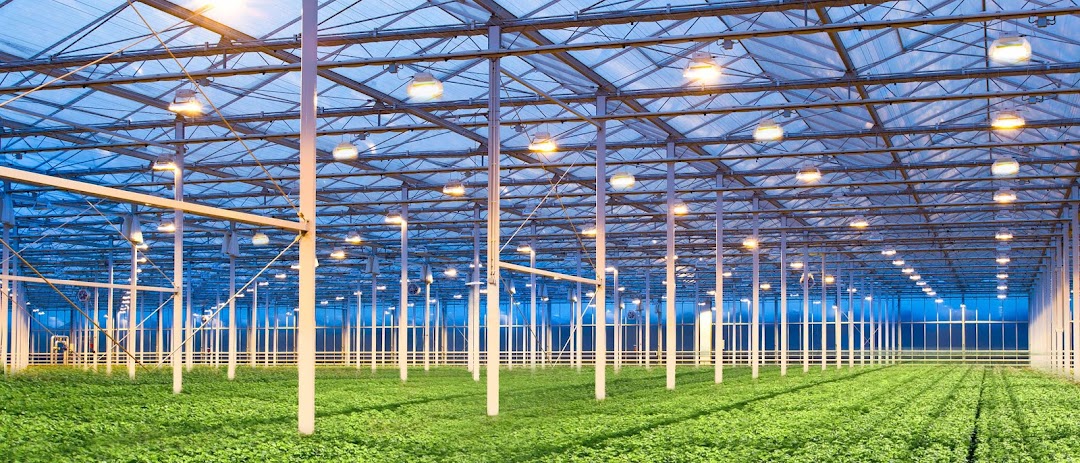 Hydrotek Hydroponics