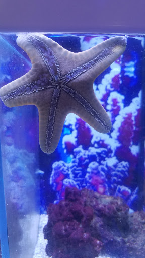 Pet Supply Store «Petco», reviews and photos, 590 E Waterfront Dr, Homestead, PA 15120, USA