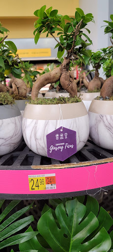 Department Store «Walmart Supercenter», reviews and photos, 150 Commerce Drive, Fairfield, IL 62837, USA