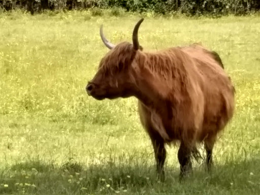 Golf Club «Snoqualmie Falls Golf Course», reviews and photos, 35109 SE Fish Hatchery Rd, Fall City, WA 98024, USA