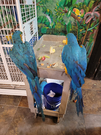 Pet Store «Pet Kingdom», reviews and photos, 4650 S Cleveland Ave, Fort Myers, FL 33907, USA