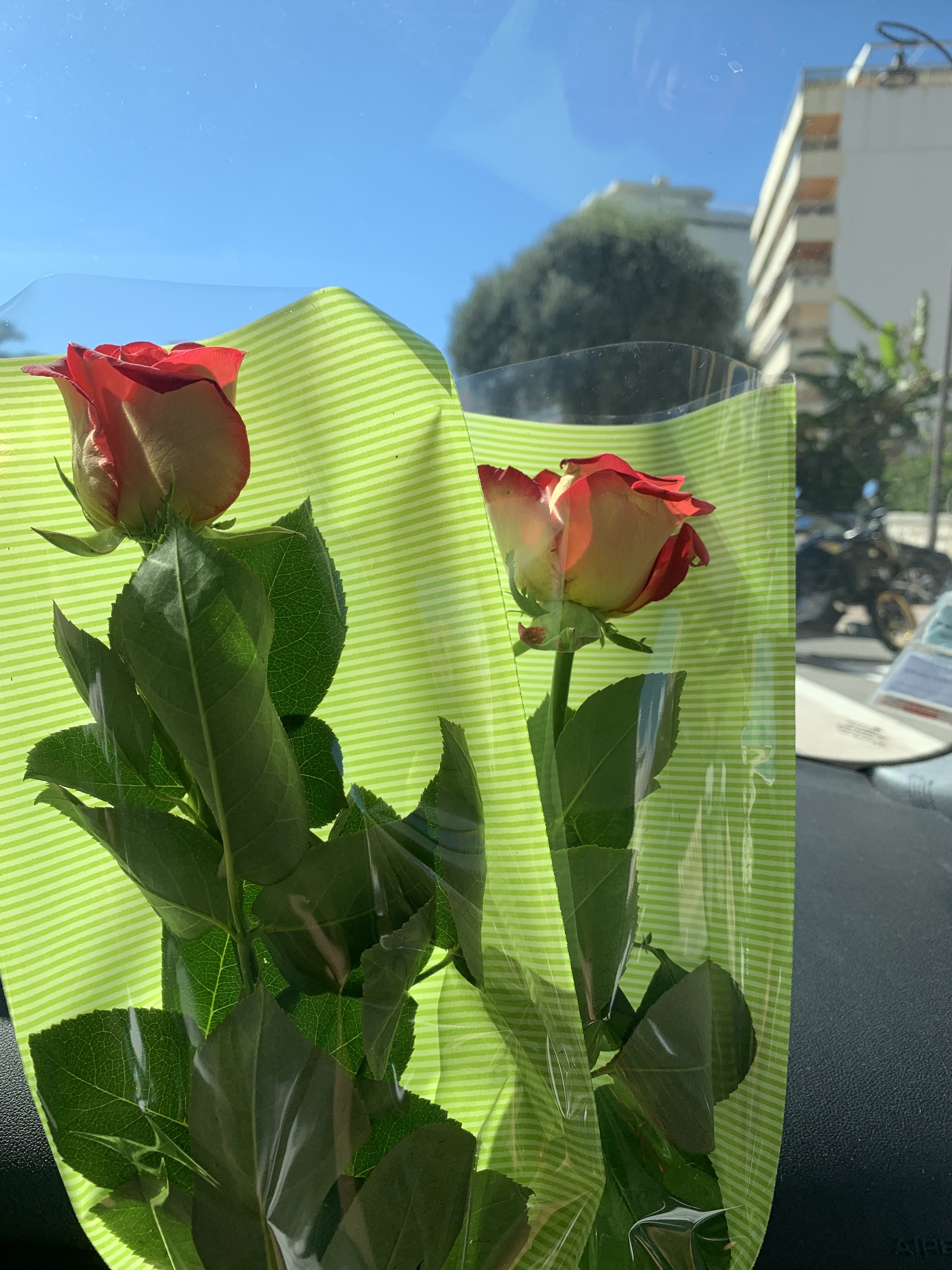 Photo n° 1 de l'avis de Aness.a fait le 17/10/2020 à 11:20