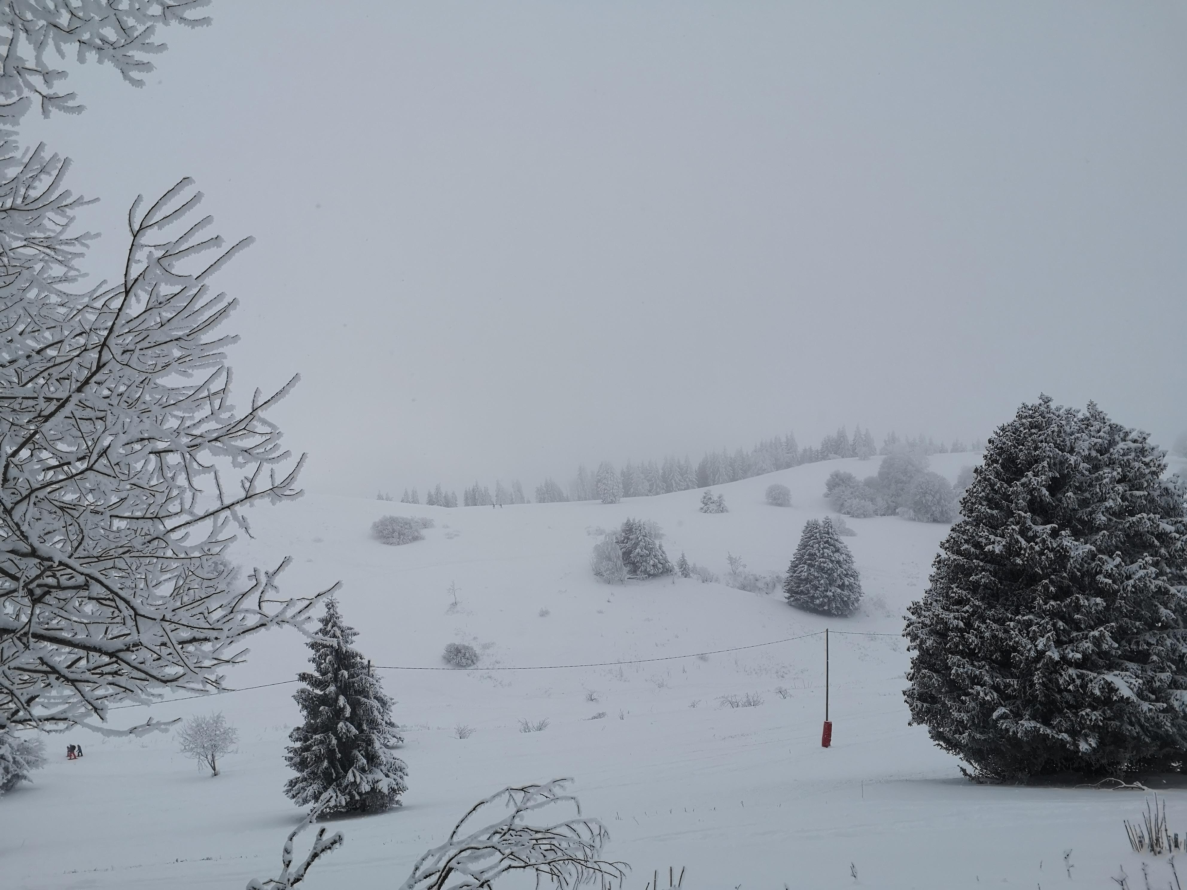 Photo n° 1 de l'avis de Xavier.a fait le 10/01/2021 à 09:53