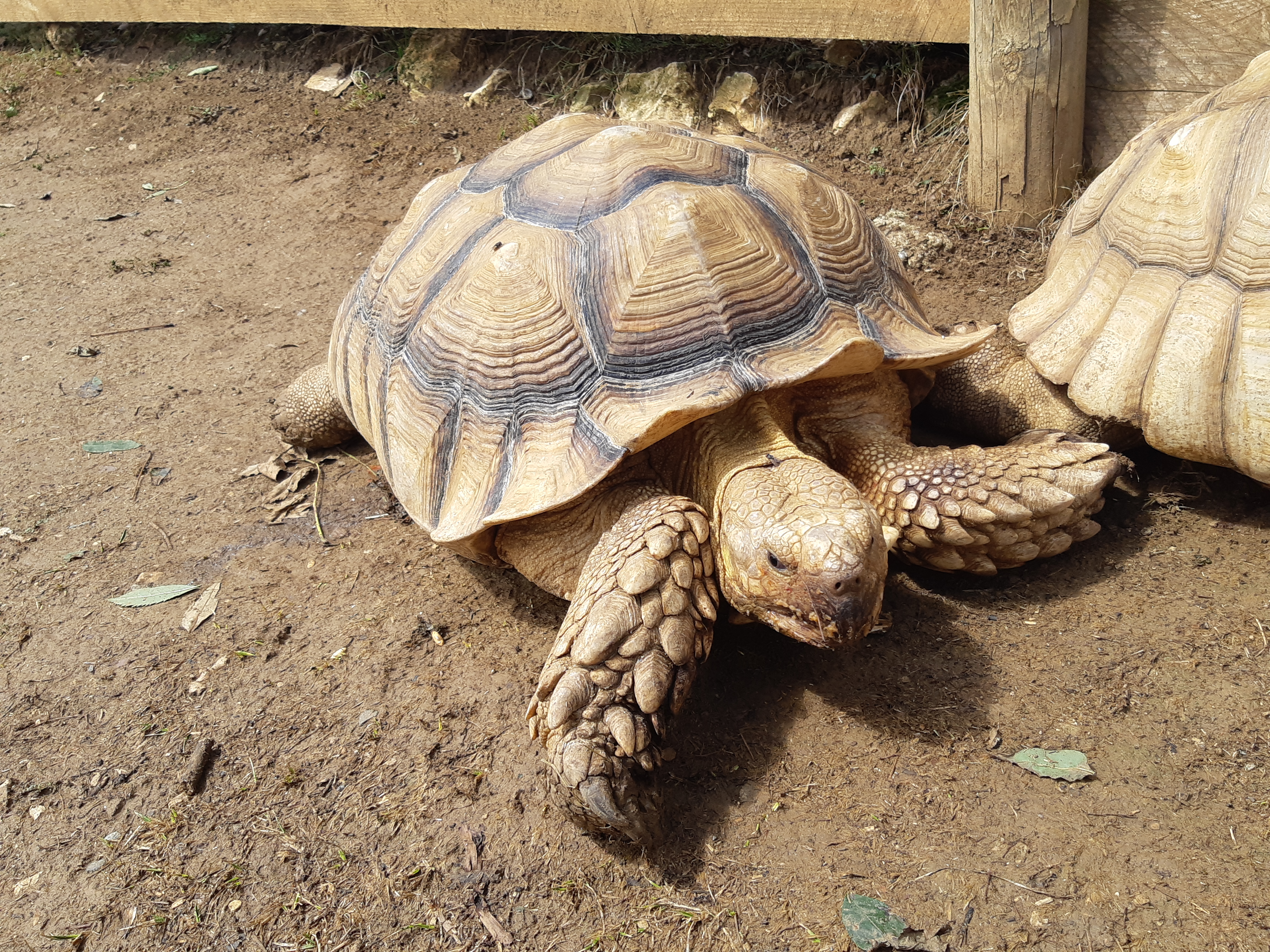 Photo n° 7 de l'avis de Stephanie.t fait le 30/08/2020 à 15:16