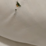 Photo n°3 de l'avis de Livio.h fait le 04/10/2022 à 16:28 sur le  Villa Maria à Chianciano Terme