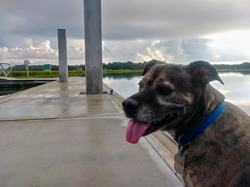 7802 US-80, Savannah, GA 31410, USA