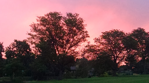 Golf Course «City Park Golf Course», reviews and photos, 2500 York St, Denver, CO 80205, USA