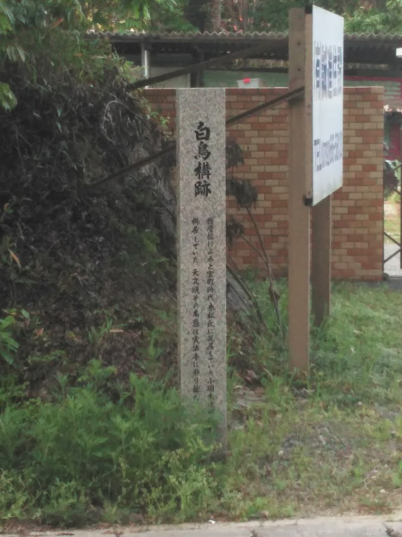 白鳥構跡(白鳥山)