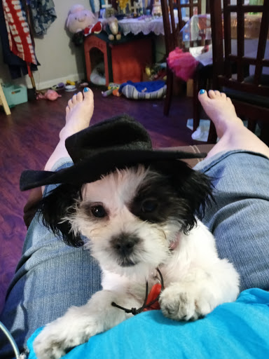 Pet Supply Store «The Dog House», reviews and photos, 4237 S Alameda St, Corpus Christi, TX 78412, USA