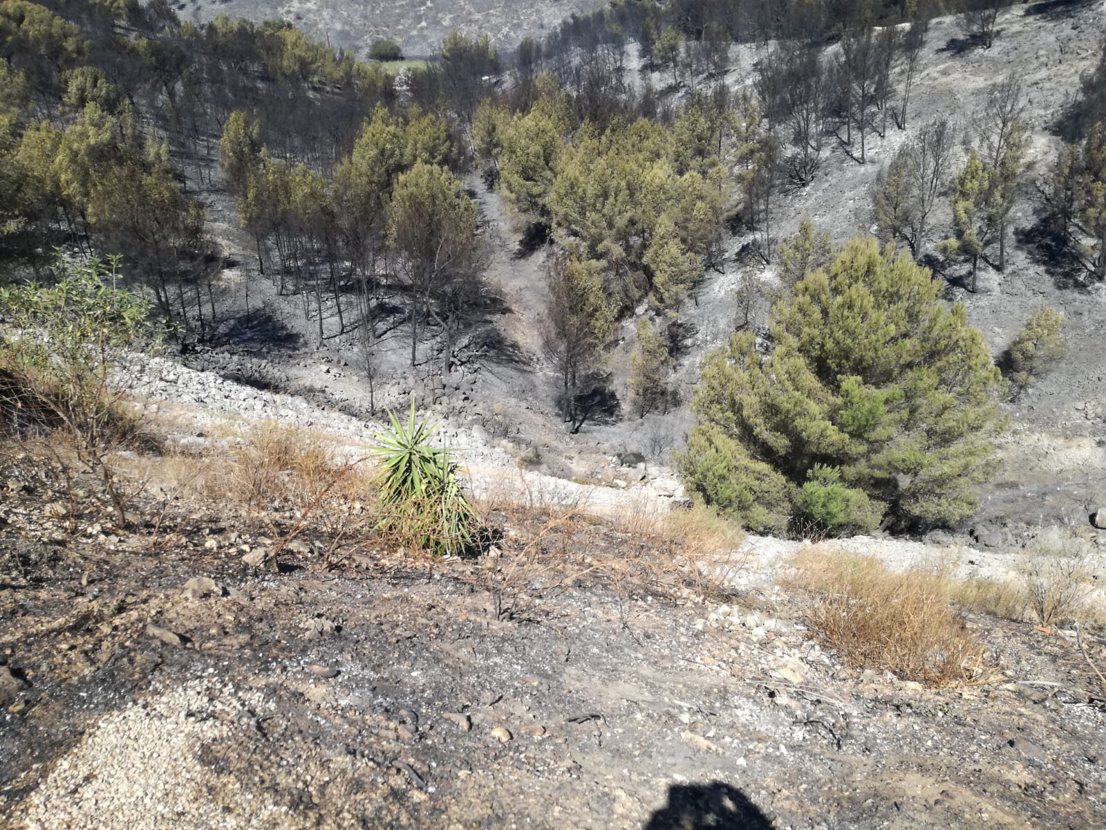 Photo n° 4 de l'avis de Jean-Pierre.a fait le 09/05/2019 à 21:35