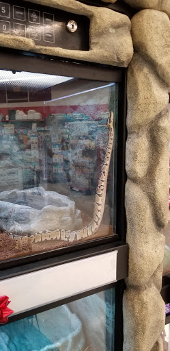 Pet Supply Store «Petco Animal Supplies», reviews and photos, 4012 W 27th Ave, Kennewick, WA 99337, USA