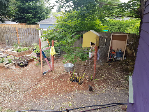 Park «Berrydale Park», reviews and photos, SE Taylor St, Portland, OR 97216, USA