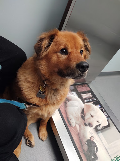 Brodheadsville Veterinary Clinic