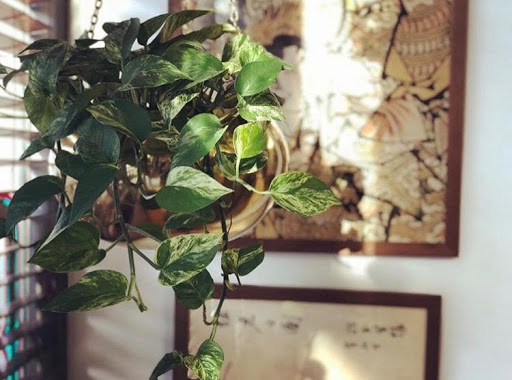 Explore peaky blinders tattoo ideas, creative tattoo ideas in Richmond, available at Civilization Tattoo