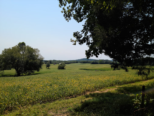 Tourist Attraction «Indiana Caverns», reviews and photos, 1267 Green Acres Dr SW, Corydon, IN 47112, USA