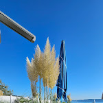 Photo n°3 de l'avis de Ma.a fait le 26/09/2023 à 20:09 sur le  Seeliebe Beach à Sipplingen